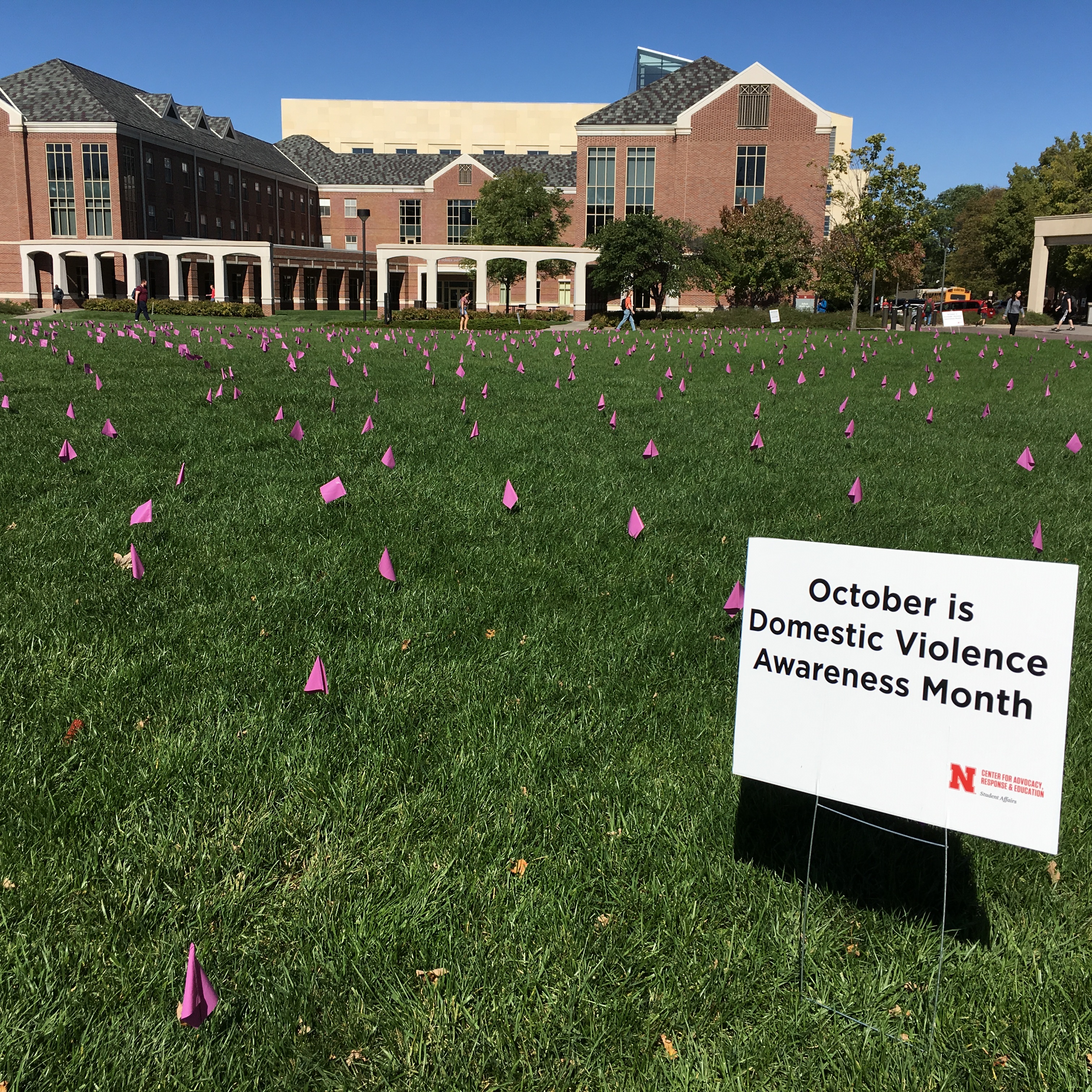The Center for Advocacy, Response & Education (CARE) placed purple flags across the Union green space for Domestic Violence Awareness Month.