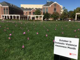 The Center for Advocacy, Response & Education (CARE) placed purple flags across the Union green space for Domestic Violence Awareness Month.