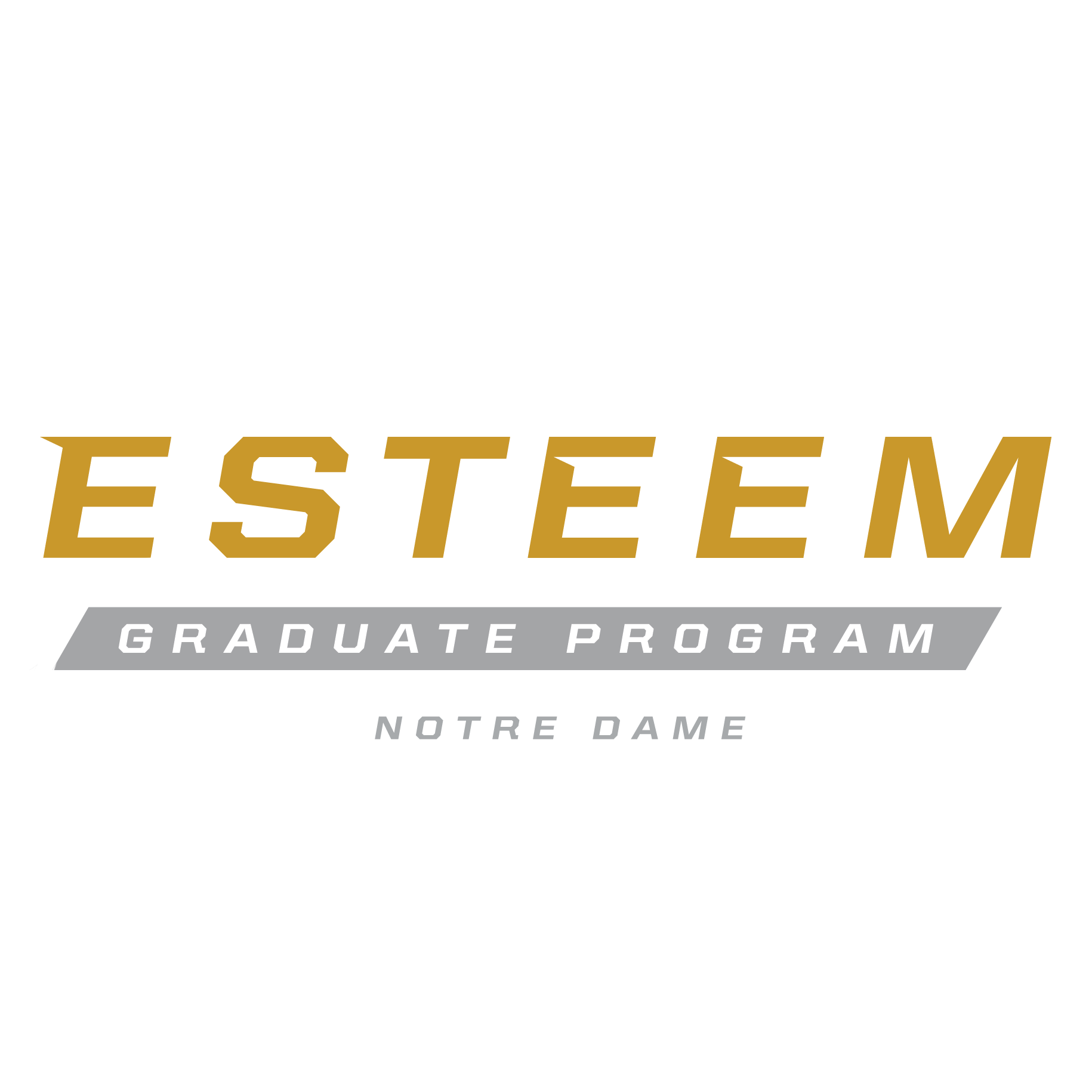 Notre Dame ESTEEM Graduate Program 