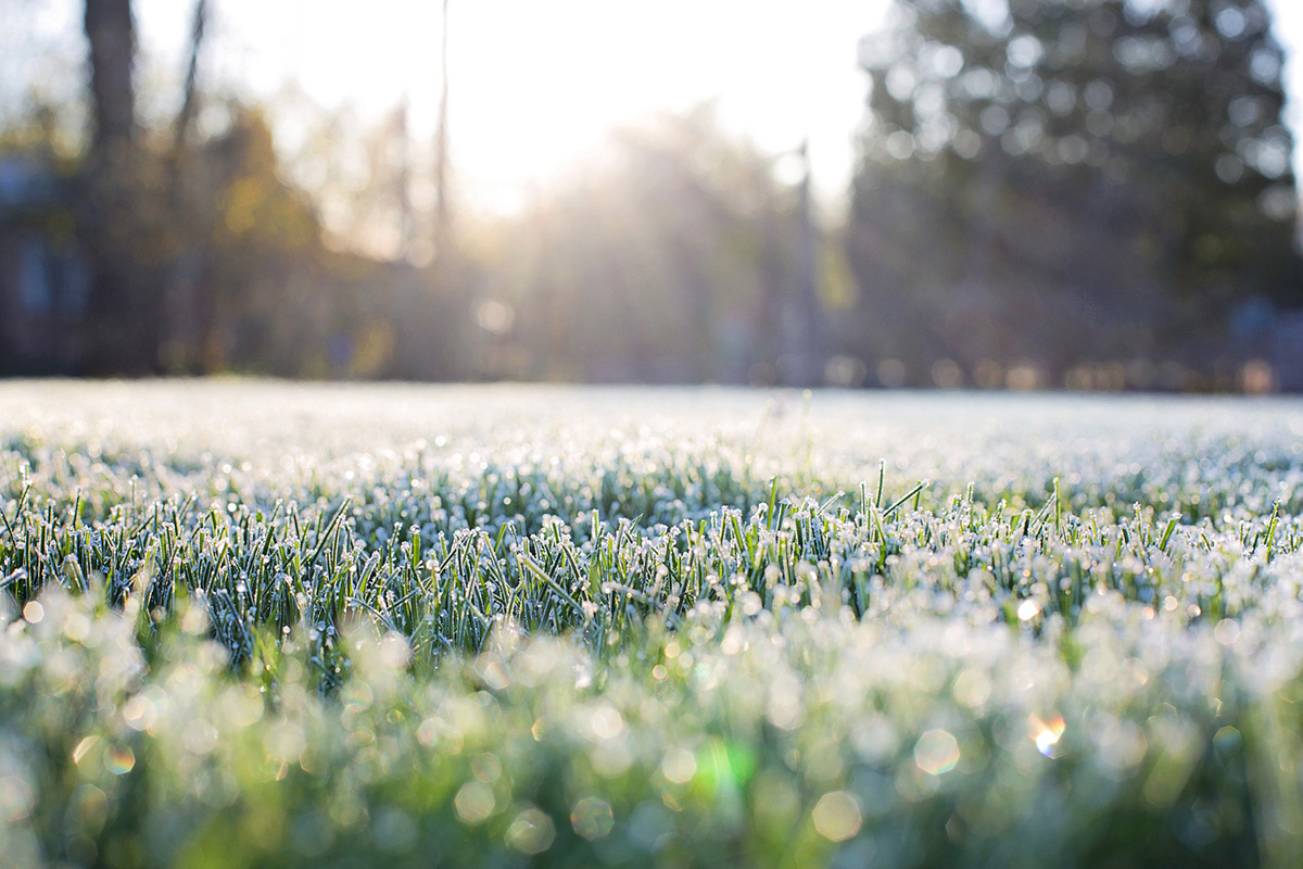 Stay off frozen or frosted turf when doing aeration or soil prep until the frost has melted. Photo from Pixabay.