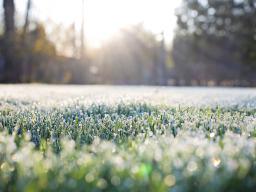 Stay off frozen or frosted turf when doing aeration or soil prep until the frost has melted. Photo from Pixabay.