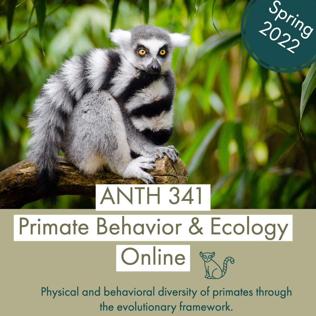 ANTH 341: Primate Behavior & Ecology