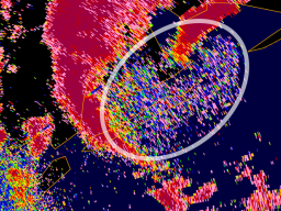 Radar from Tropical Storm Beta after it made landfall near Corpus Christi, Texas, on Sept. 22, 2020. The white oval marks a bioscatter signature, indicating the presence of birds. 