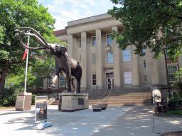 Science at Work: Morrill Hall