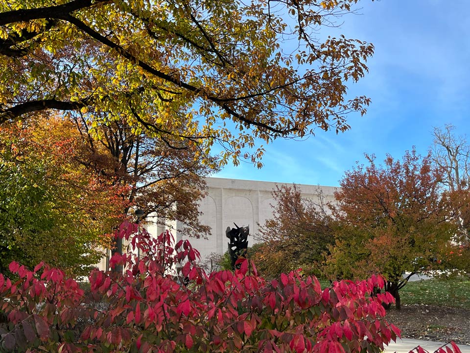 Taking a walk around campus to enjoy the abundant colors in nature can be a good way of taking time for yourself.