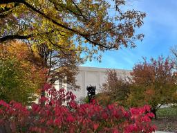 Taking a walk around campus to enjoy the abundant colors in nature can be a good way of taking time for yourself.