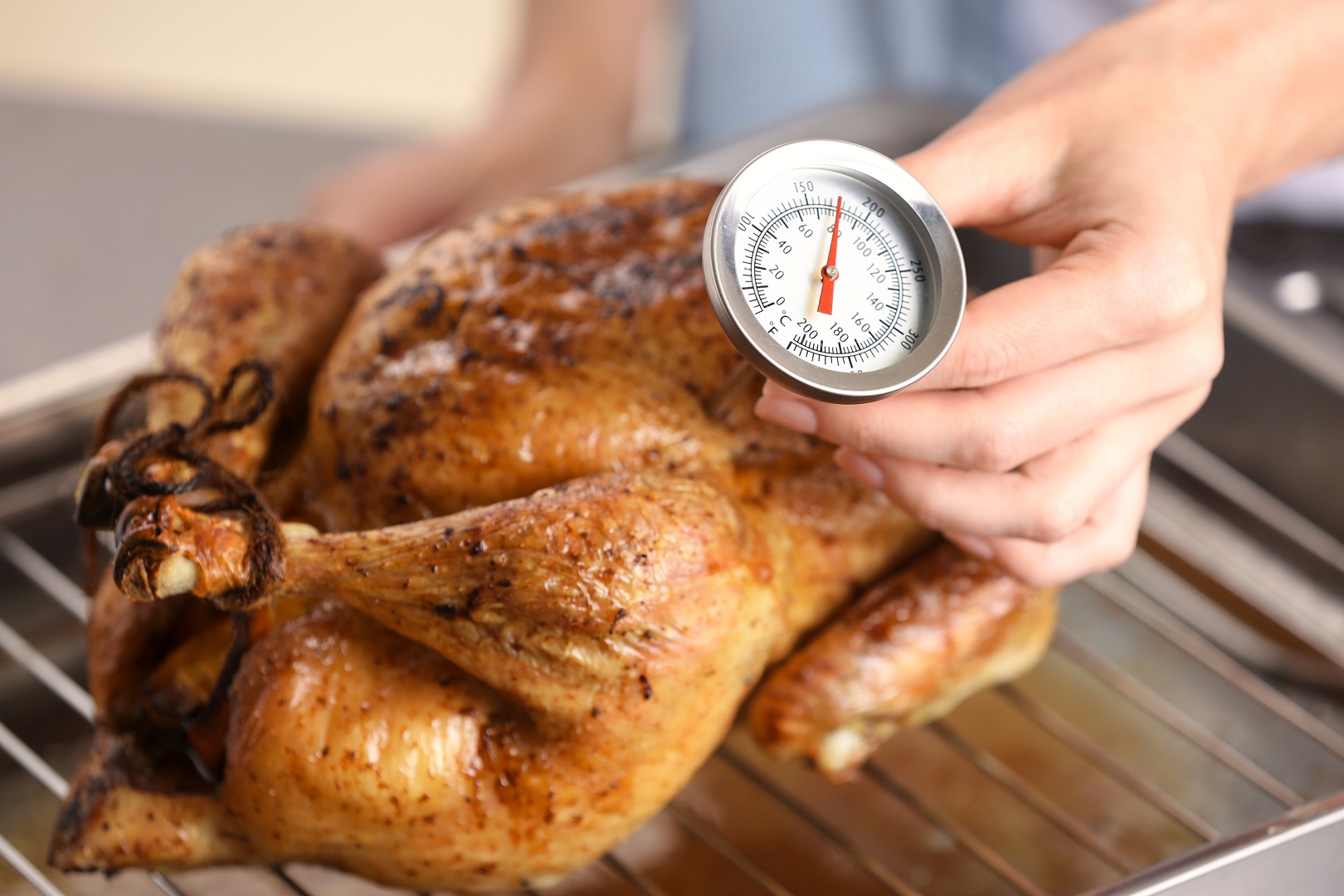 Measuring the internal temperature of cooked meats is important for holiday food safety.