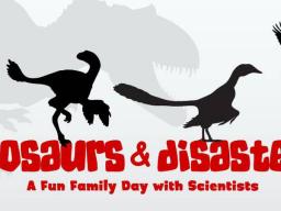 Volunteer for Dinosaurs and Disasters (D&D)