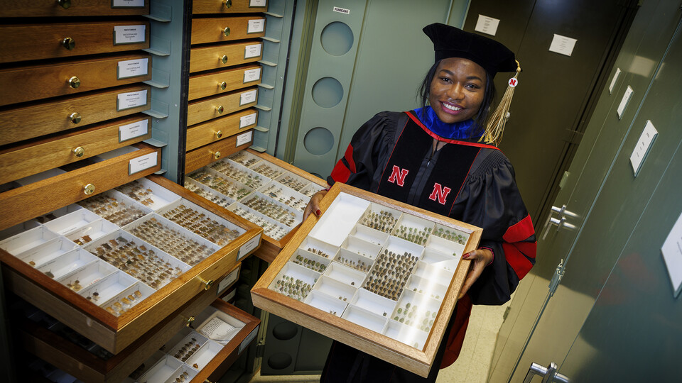 Blessing Ademokoya, a doctoral candidate in entomology, poses with the state museum’s collection of stink bugs. © Craig Chandler