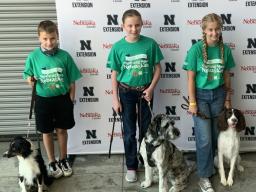 Members of the 4 on the Floor Dog Club at the 2021 State 4-H Dog Show.