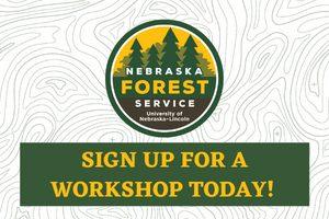 Nebraska Forest Service workshop graphic.png