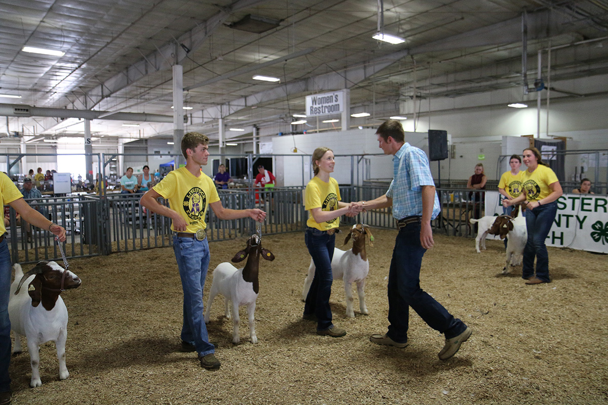 4-H Meat Goats at 21 Super Fair - 08 1200.jpg