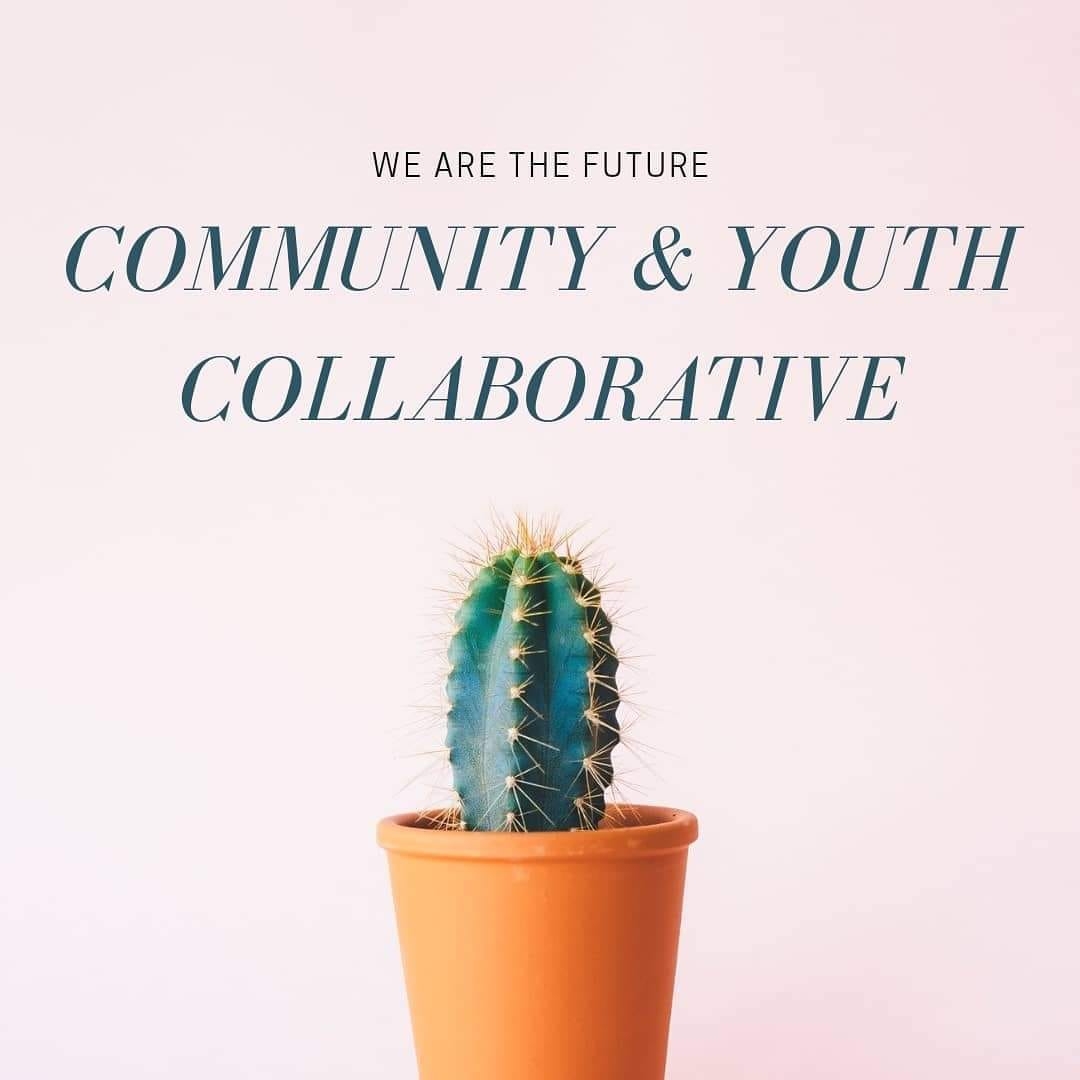 Community & Youth Collaborative