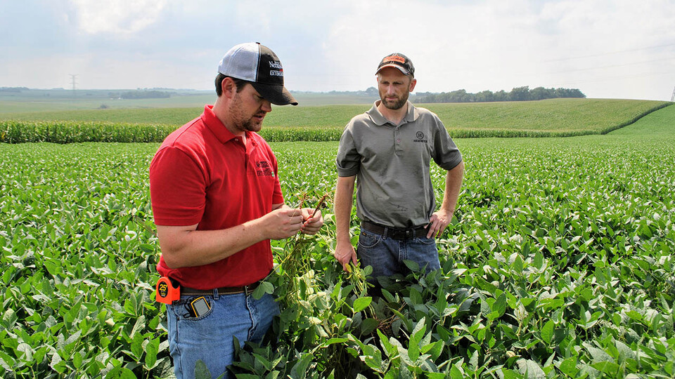 Nathan Mueller (left), Nebraska Extension educator, assesses an on-farm experiment with a producer participating in the Nebraska On-Farm Research Network.  Laura Thompson | Nebraska Extension