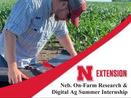 Nebraska On-Farm Network and digtal ag group is looking for summer interns.