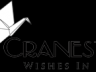 logo for Cranestorm