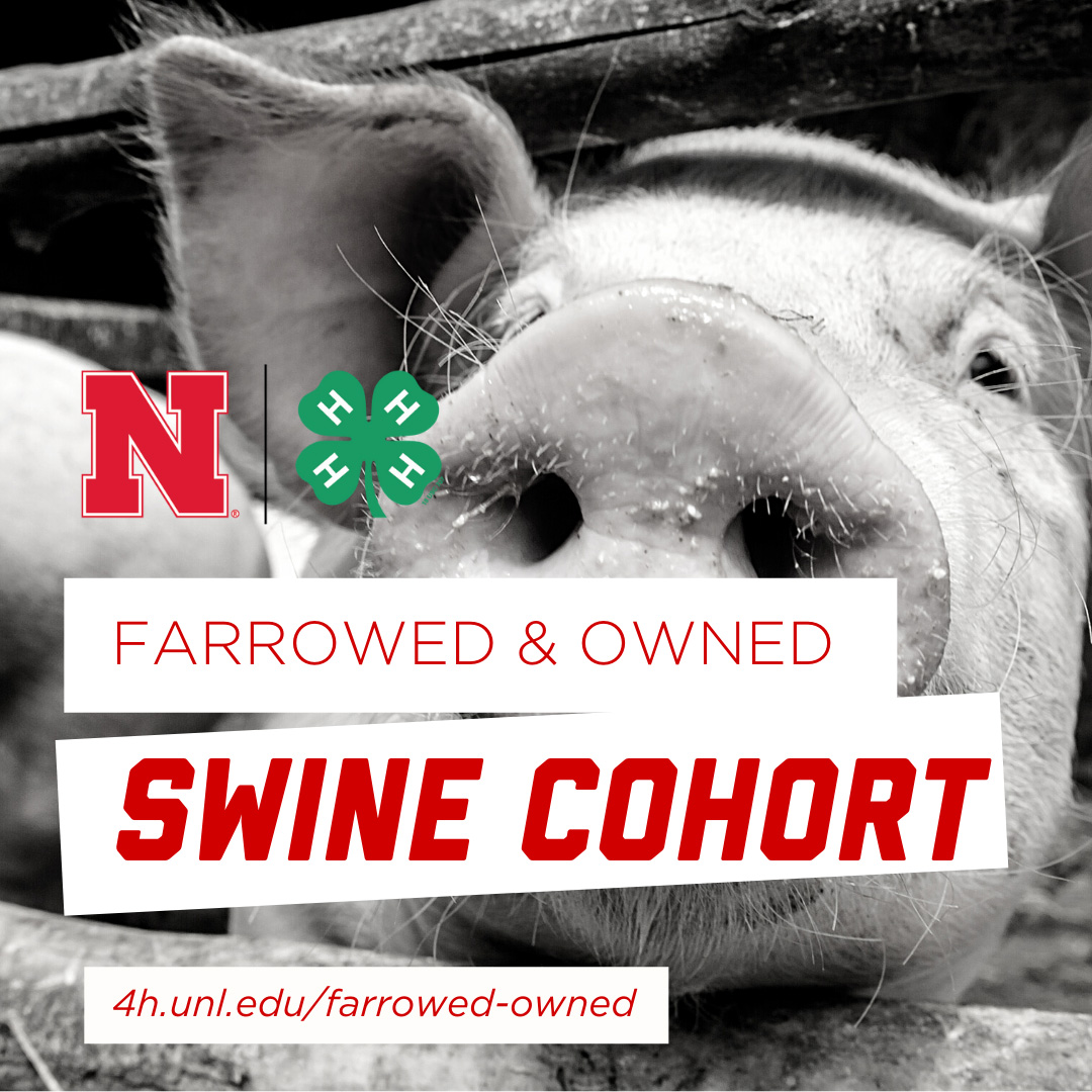 Farrowed-Owned-Swine-Cohort.jpg