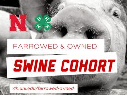 Farrowed-Owned-Swine-Cohort.jpg