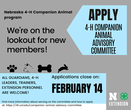 Companion Animal Advisory Committee.png