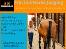 Practice Horse Judging.jpg