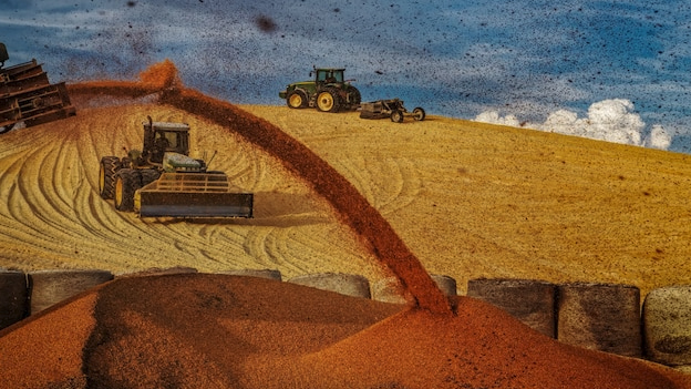 Tractors pack down a giant mound of corn at a feedlot near Imperial, Nebraska, before storm clouds roll in. PHOTOGRAPH BY RANDY OLSON, NAT GEO IMAGE COLLECTION