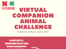 Virtual CA contest .png