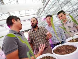 Harkamal Walia (second from left) and Hongfeng Yu (third from left) talk with colleagues at the Greenhouse Innovation Center on Nebraska Innovation Campus.