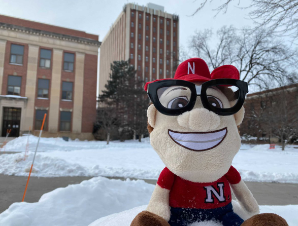 Ten Herbies will be hidden across campus on Feb. 16.