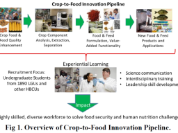 Crop to Food Innovation pipeline. Fig.1