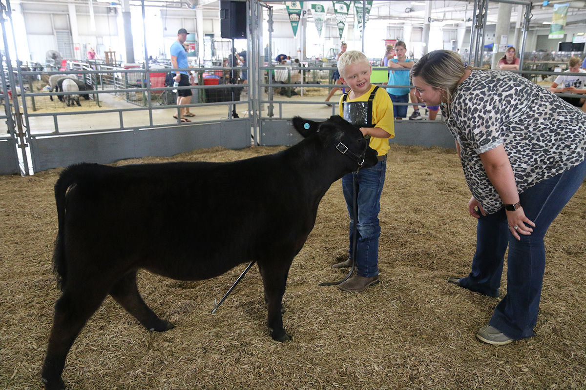 4-H Bucket Calf Show at the 2021 Lancaster County Super Fair
