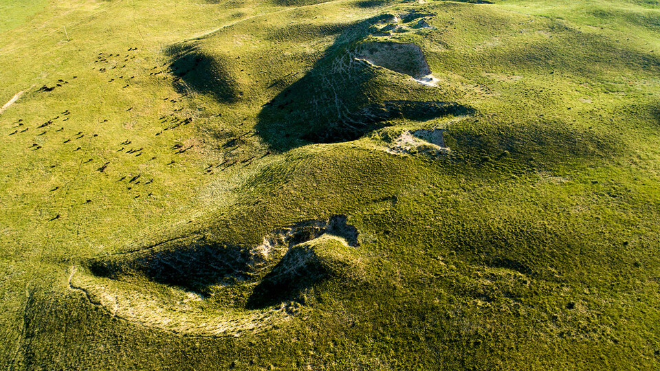 After analyzing satellite-based imagery from NASA and the European Space Agency, Husker researchers have concluded that the Nebraska Sandhills are among the grasslands best positioned for long-term conservation. Craig Chandler | University Communication 