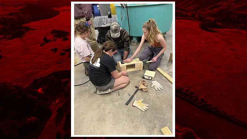 Fun hanging out with faculty and students building southern flying squirrel boxes for UNL campus.