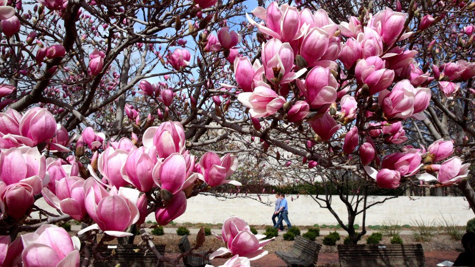 2022 UNL Spring Break dates are March 14 to 20. //University Communications