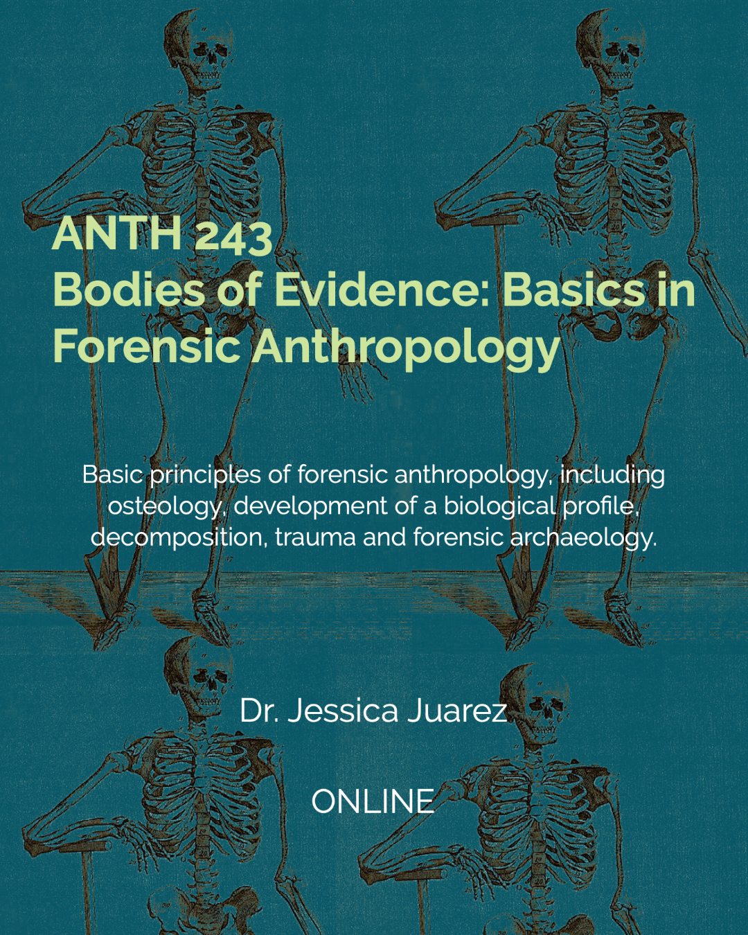 ANTH 243: Bodies of Evidence: Basics in Forensic Anthropology