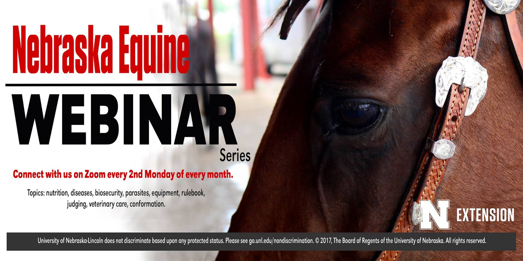 equine webinar.jpg