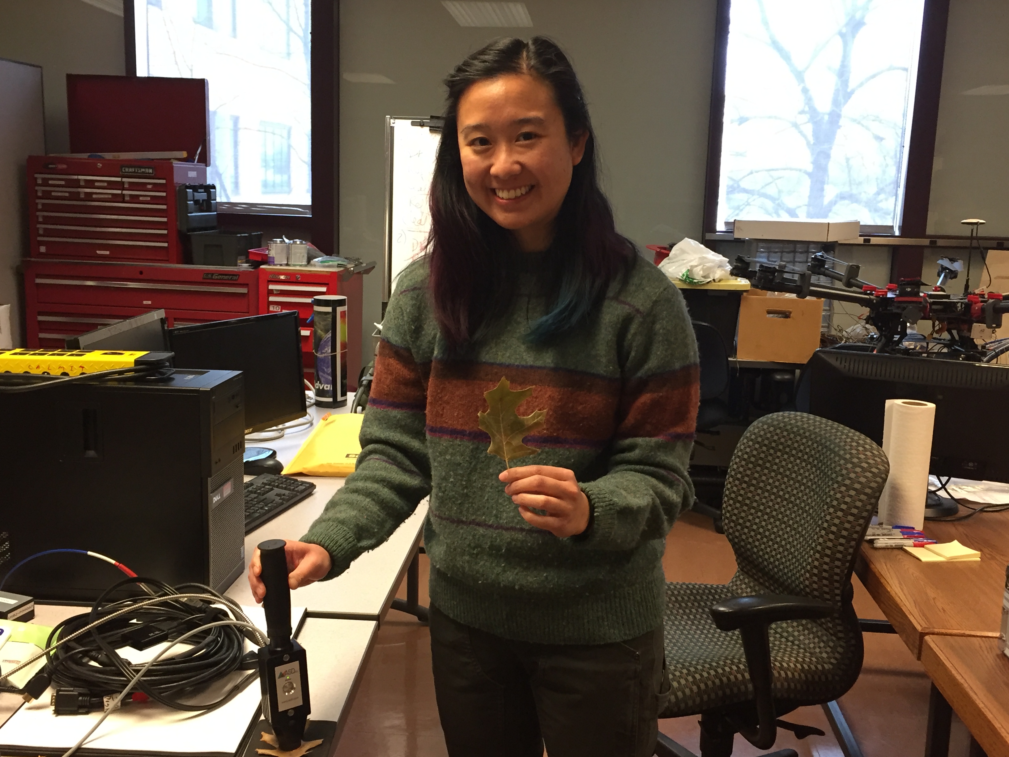 Catherine Chan displays a leaf she will measure with a spectroradiometer