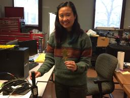 Catherine Chan displays a leaf she will measure with a spectroradiometer