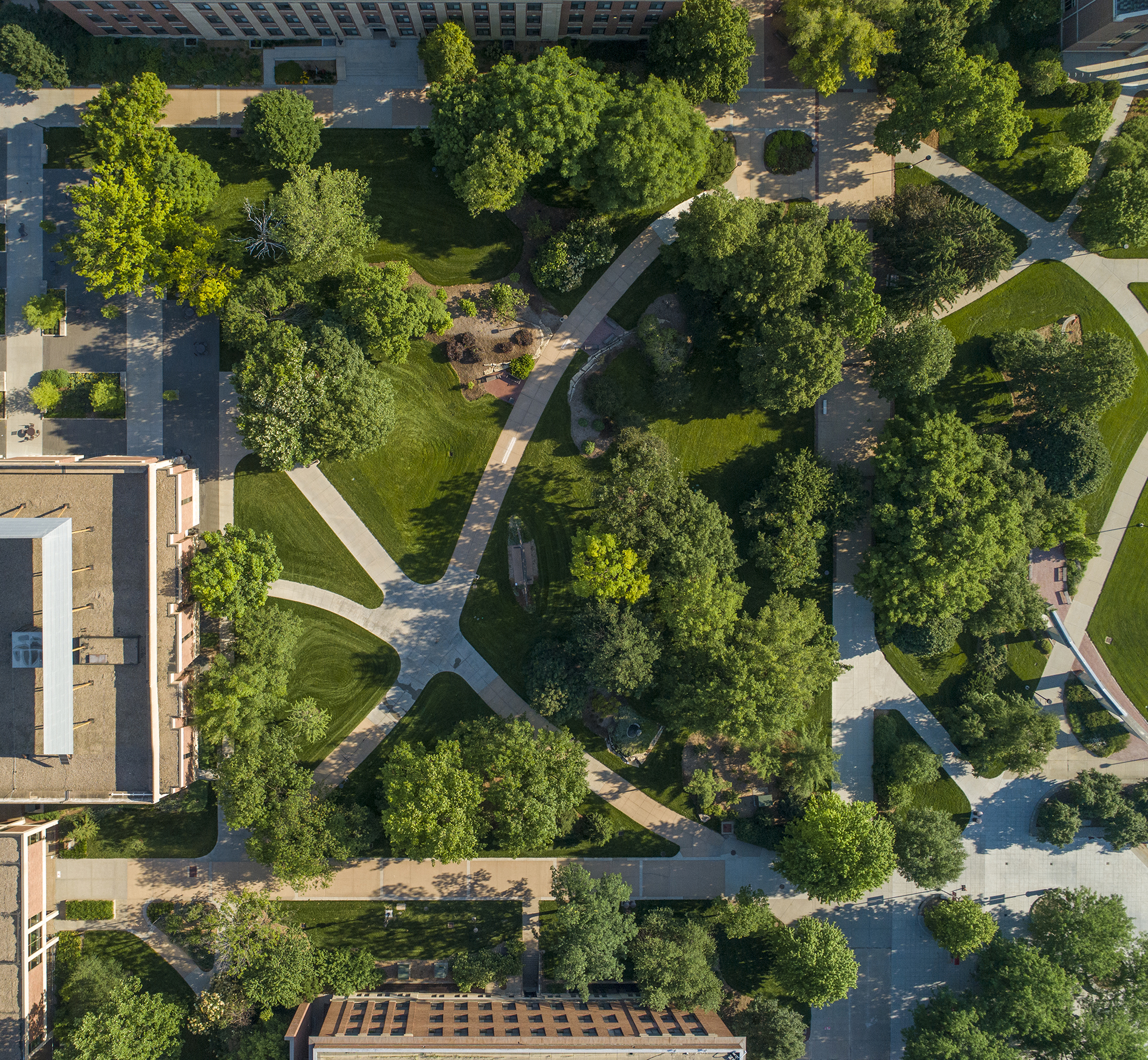 Aerial view above City Campus. [Craig Chandler | University Communication]