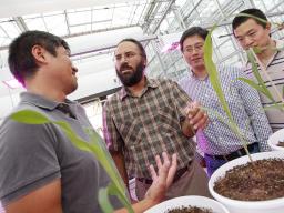 Harkamal Walia (second from left), a researcher in agronomy and horticulture, discusses wheat growing progress in the Lemna Tech High Throughput Phenotyping facility at Nebraska Innovation Campus, with colleagues (from left) Toshihiro Obata (biochemistry)