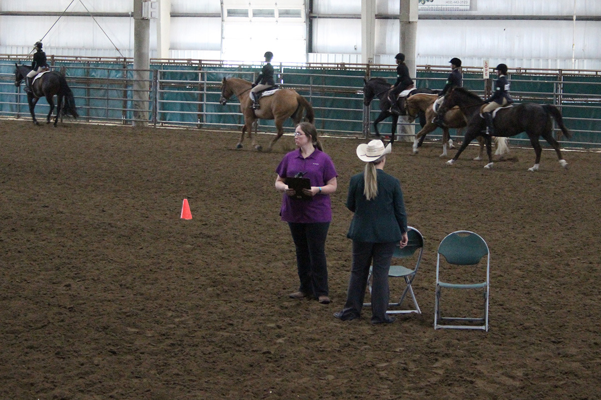 Horse Districts in 2021 at the Lancaster Event Center Fairgrounds