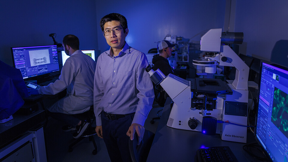 Ruiguo Yang, assistant professor of mechanical and materials engineering, is using a $540,000 grant from the National Science Foundation’s Faculty Early Career Development Program to explore how cell-cell bridges respond to strains of different magnitudes