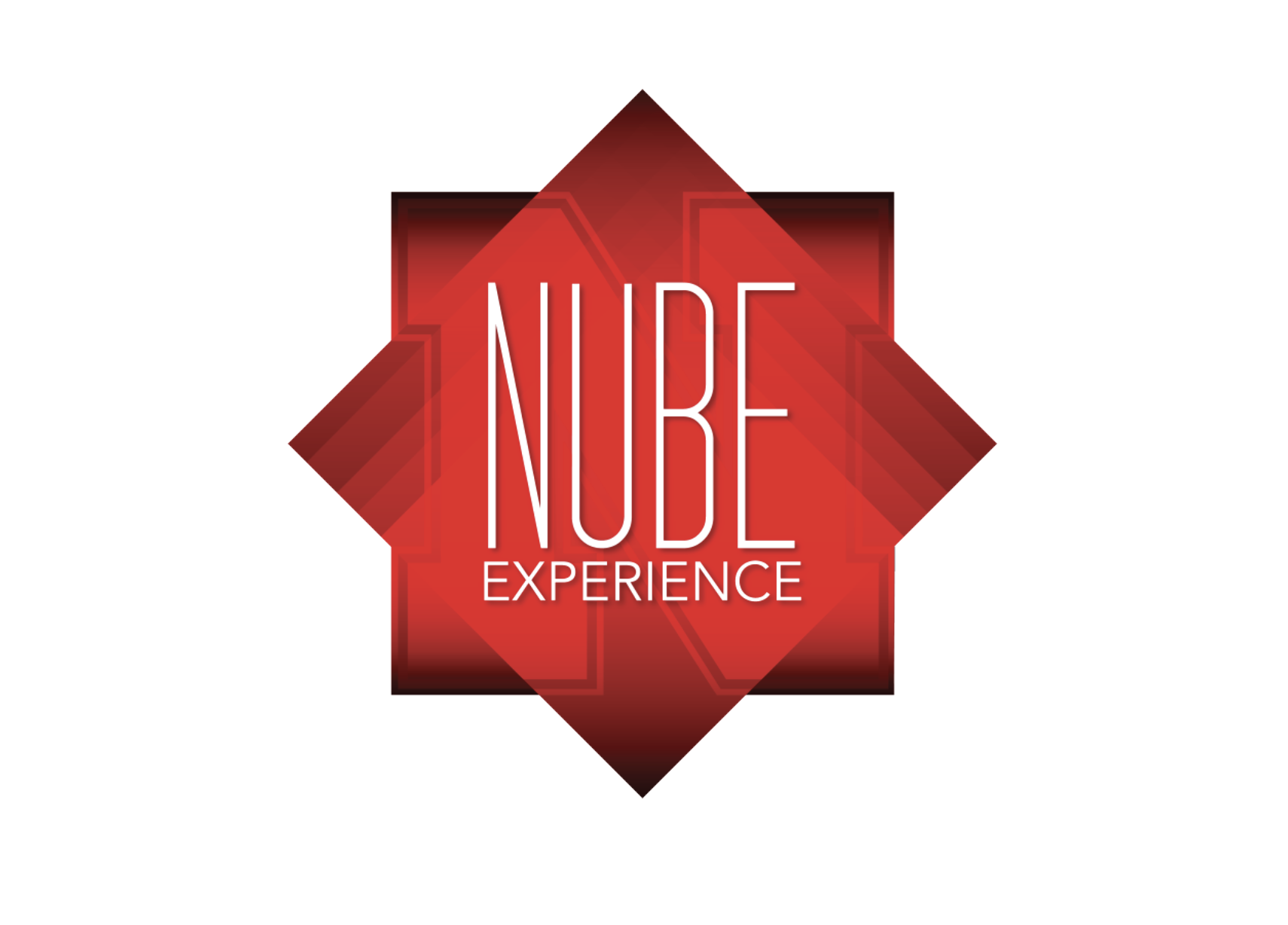 The NUBE Experience