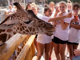 Alpha Chi Omega sorority members spend time with one of the giraffe at the Lincoln Children's Zoo while completing volunteer work for the Big Event. [Dillon Galloway | University Communication]