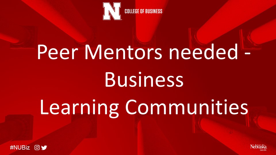 BLC Peer Mentors Needed