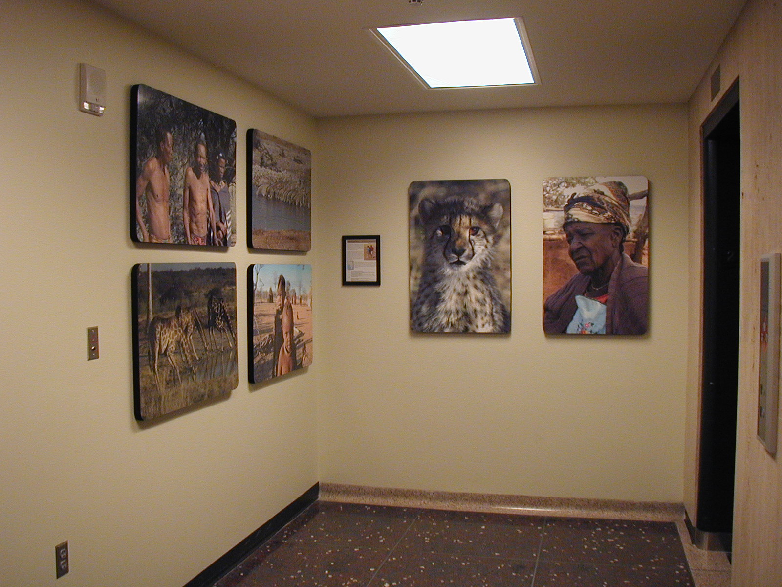 Photos from Larkin Powell's trip to Namibia are the first exhibit in the second floor elevator lobby gallery.