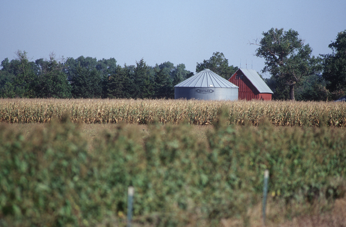 FARM01_1200.jpg