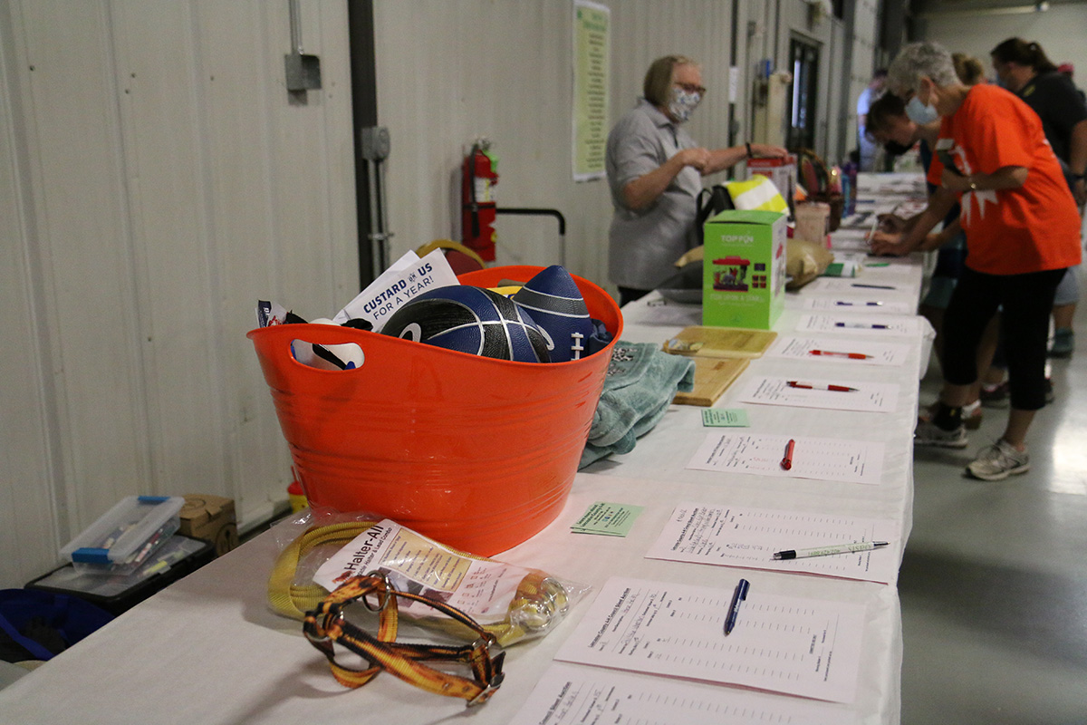 Silent Auction 21.jpg