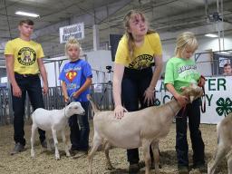 Clover Kids Showmanship at the 2021 Lancaster County Super Fair 4-H Dairy Goat Show