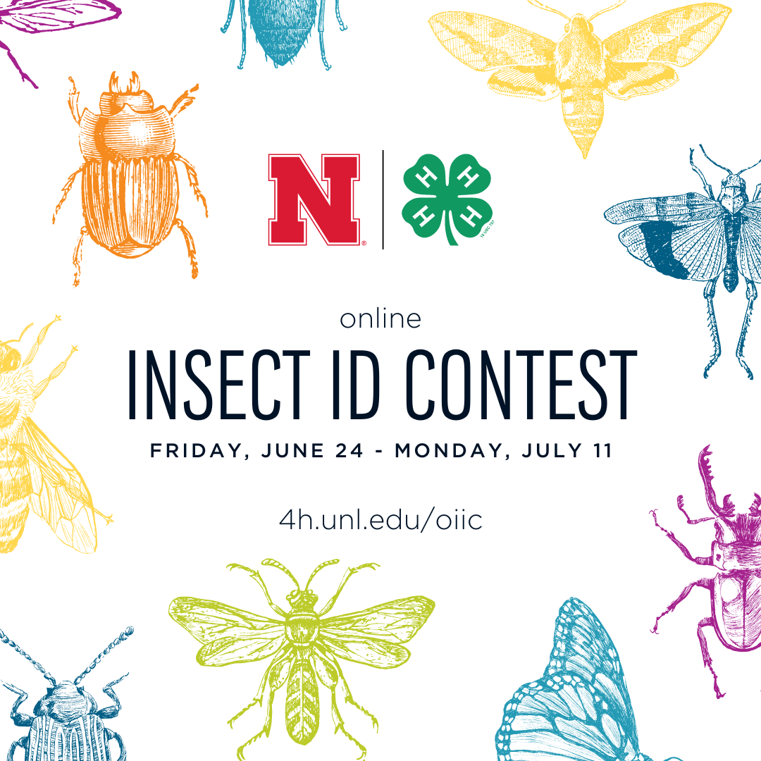 Insect-ID-State-Contest_2022.png