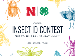Insect-ID-State-Contest_2022.png